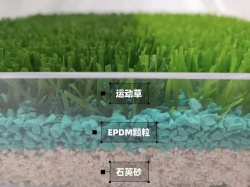 充砂足球草：人造草中的“优等生”，好在哪里？