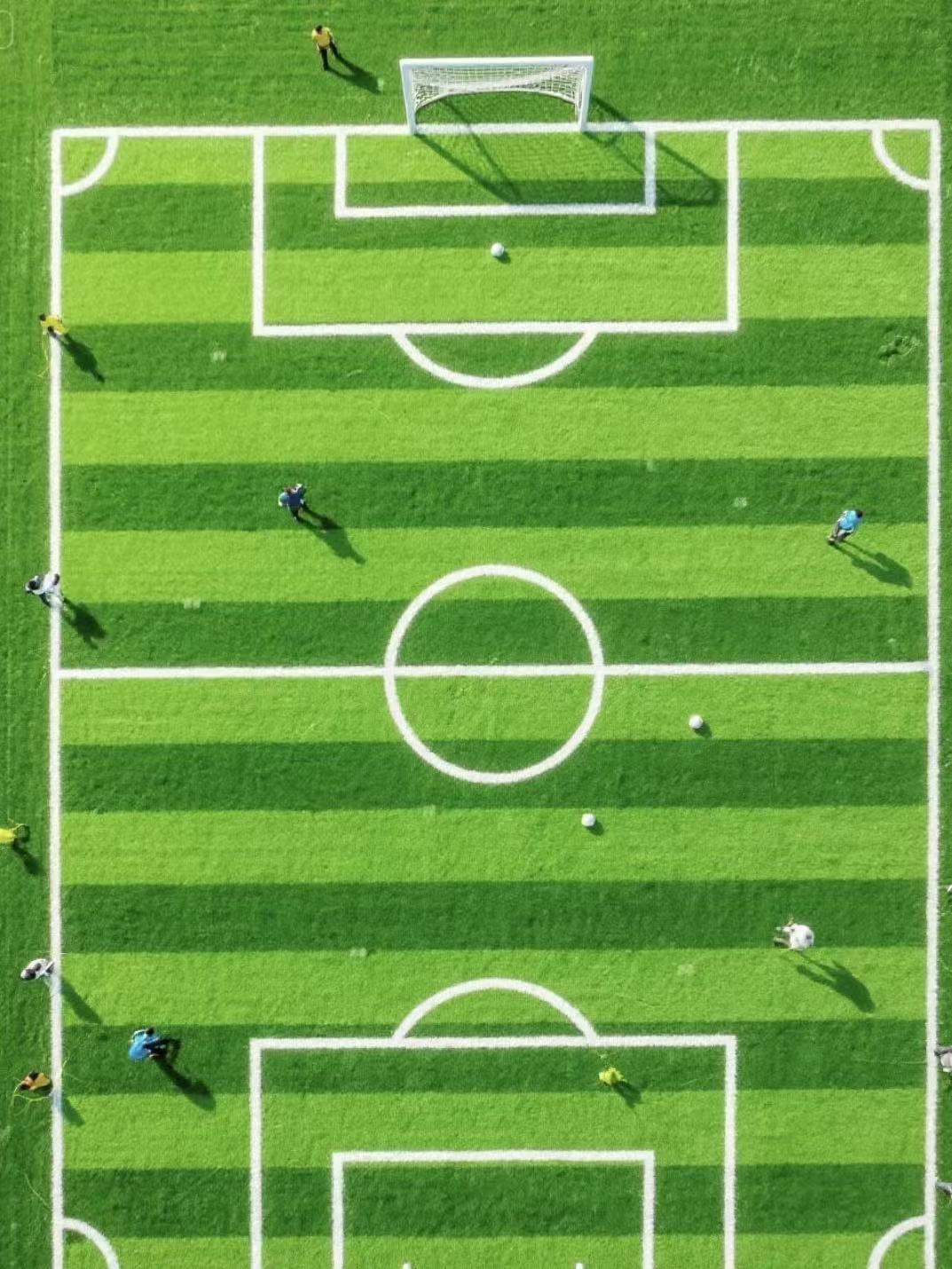 火眼金睛！教你评判足球场人造草坪好坏