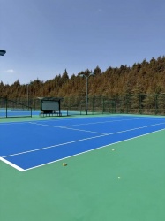 同样是建球场，为什么专业场馆都偏爱丙烯酸材料