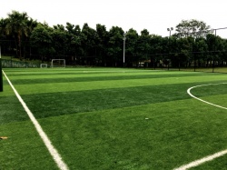 人造草坪和天然草坪的区别？优缺点对比超直观