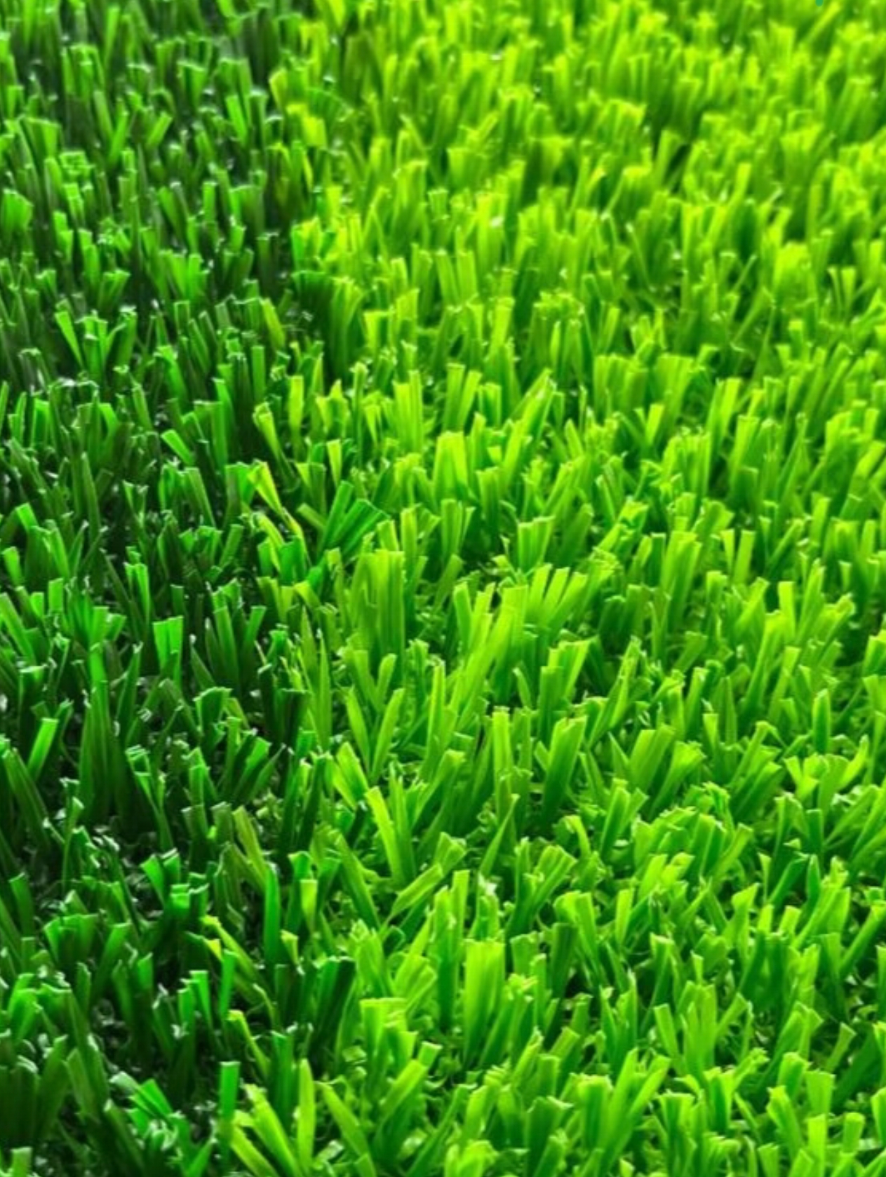 足球场人造草坪和普通绿化草有哪些区别？