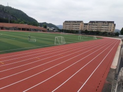 大学田径运动场适合铺设哪种高标准塑胶跑道？